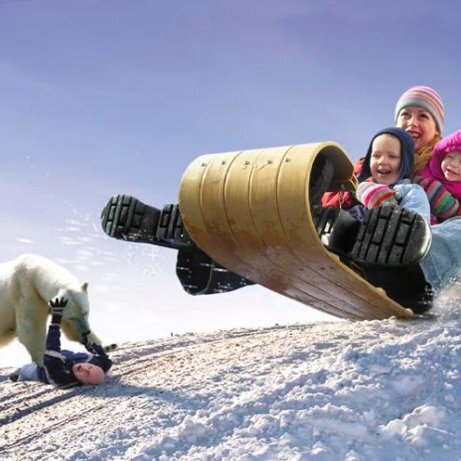 2006